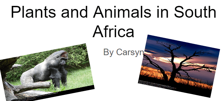Plants and Animals of South Africa